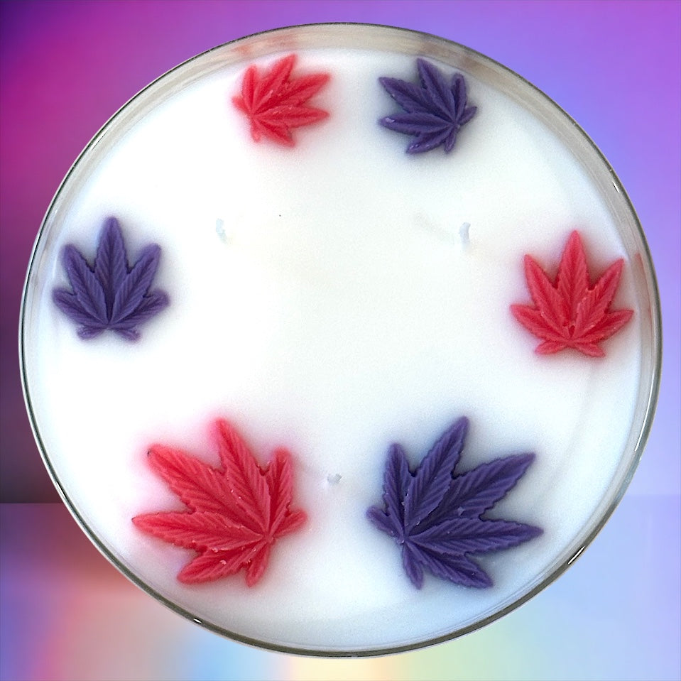 Jealousy 3 wick candle