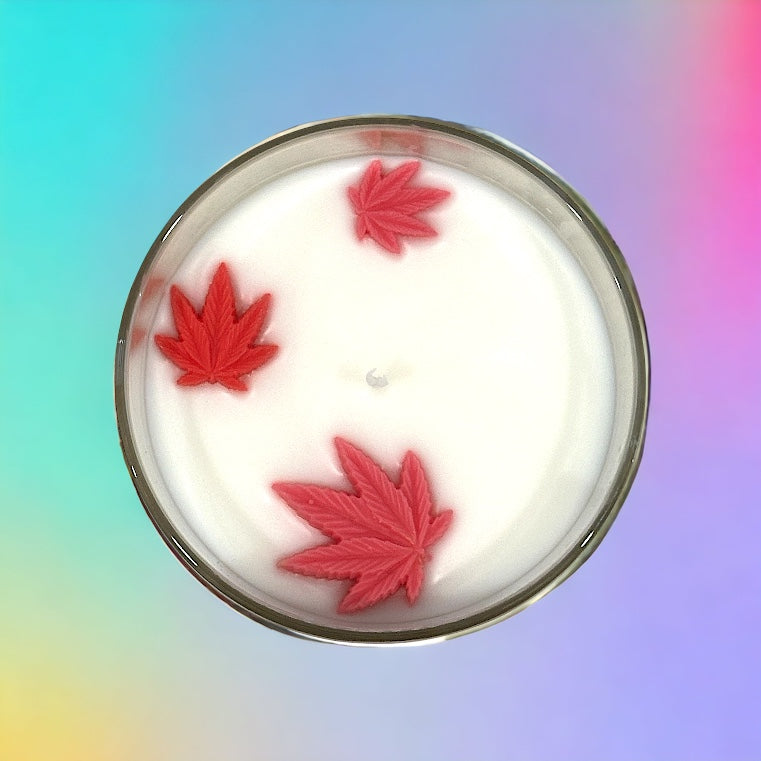 Mimosa single wick candle