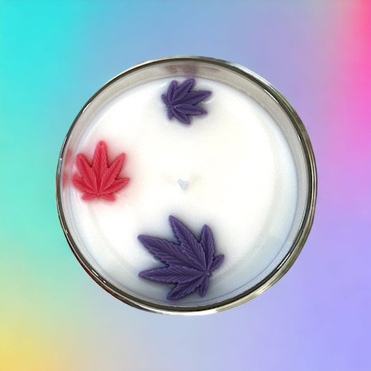 Jealousy single wick candle